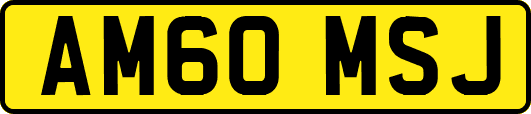 AM60MSJ