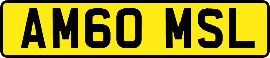 AM60MSL