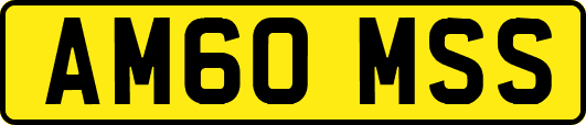 AM60MSS
