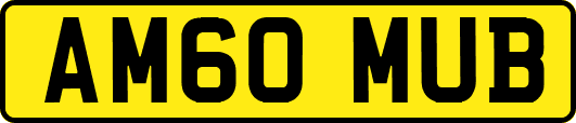 AM60MUB
