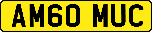 AM60MUC