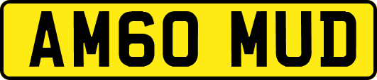 AM60MUD