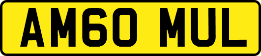 AM60MUL