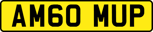 AM60MUP