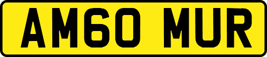 AM60MUR