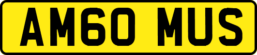 AM60MUS