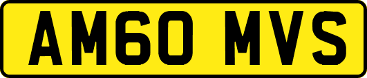 AM60MVS