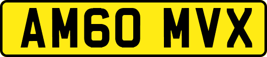 AM60MVX