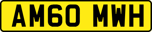 AM60MWH