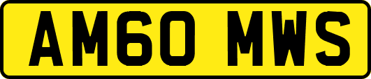 AM60MWS