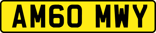 AM60MWY