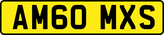 AM60MXS