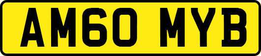AM60MYB