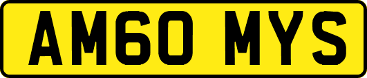 AM60MYS