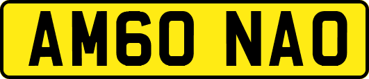 AM60NAO