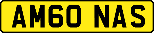 AM60NAS