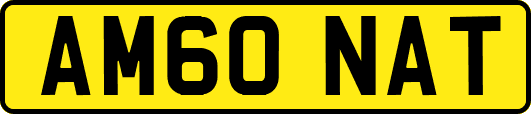 AM60NAT