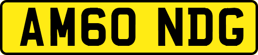 AM60NDG