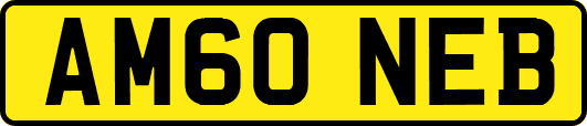 AM60NEB