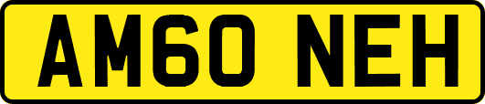 AM60NEH