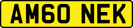 AM60NEK