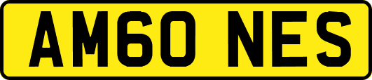AM60NES