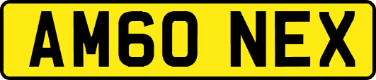 AM60NEX