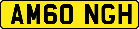AM60NGH