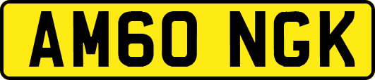 AM60NGK