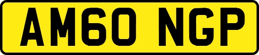 AM60NGP