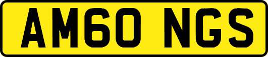 AM60NGS