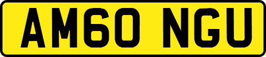 AM60NGU