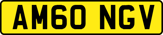 AM60NGV