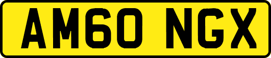 AM60NGX