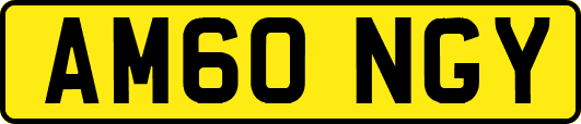 AM60NGY