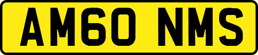 AM60NMS