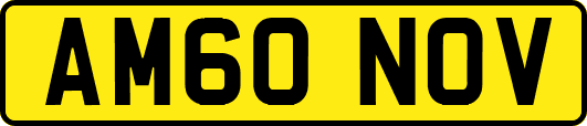 AM60NOV