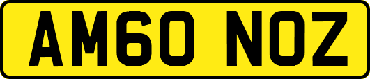 AM60NOZ
