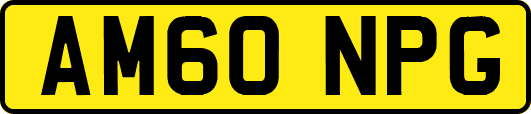 AM60NPG