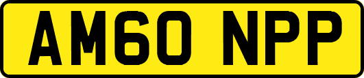 AM60NPP