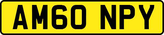 AM60NPY