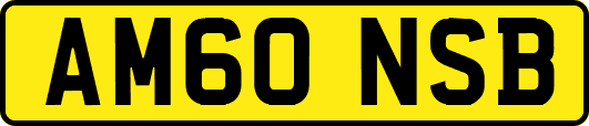 AM60NSB