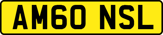 AM60NSL