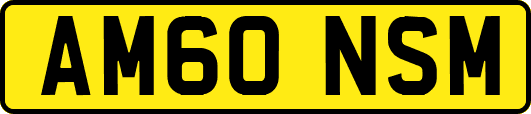 AM60NSM