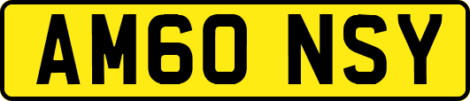 AM60NSY