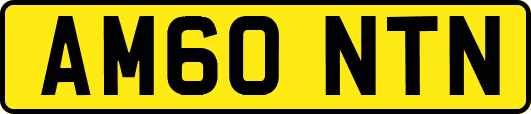 AM60NTN