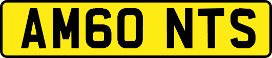 AM60NTS