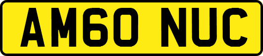AM60NUC