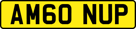 AM60NUP