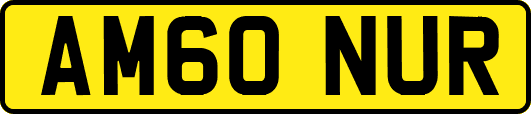 AM60NUR